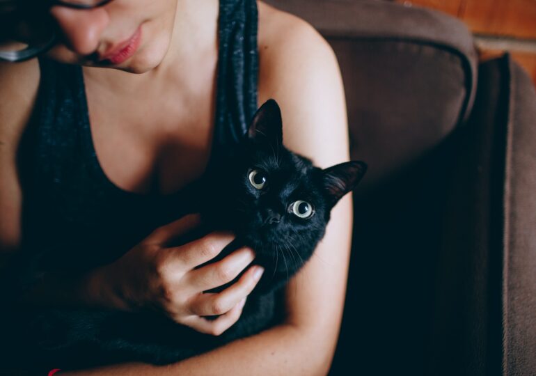 pisica-neagra-770x540